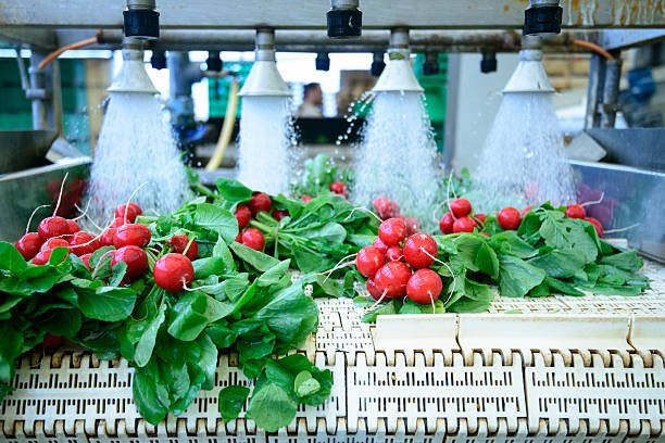 Όζον στις Βιομηχανίες Τροφίμων: Μύθοι και Πραγματικότητα για τον Καθαρισμό Φρούτων και Λαχανικών